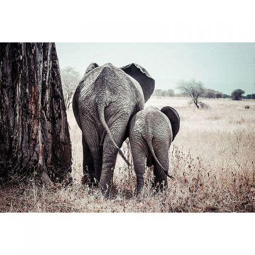  Elephants Mother & Cub 80x120x2cm