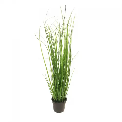 By Kohler  Arusha Grass in pot 60 cm (113545)