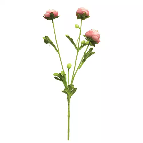 By Kohler  Ranunculus spray mini pink 68cm (201000)