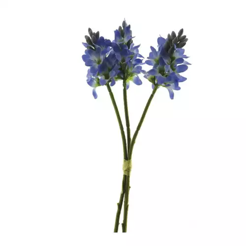 By Kohler  Hyacinth bundle x3 blue 30cm (201008)